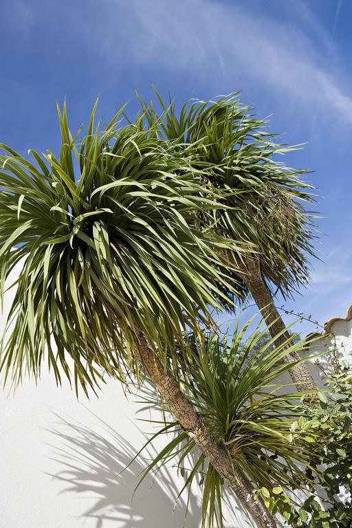 Vacanceole - Residence Carre Marine Mandelieu-La Napoule Exterior photo